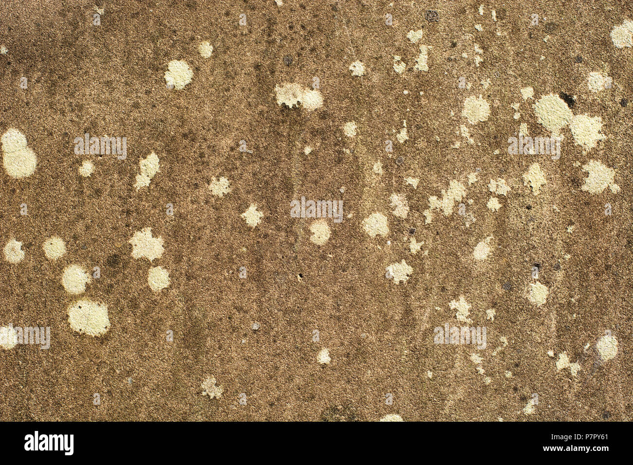 Old rough stone surface with patches of white lichen Stock Photo
