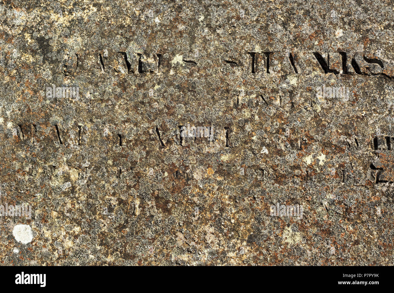 Old stone surface with partly readable engraved Latin letters covered with multi-coloured lichen Stock Photo