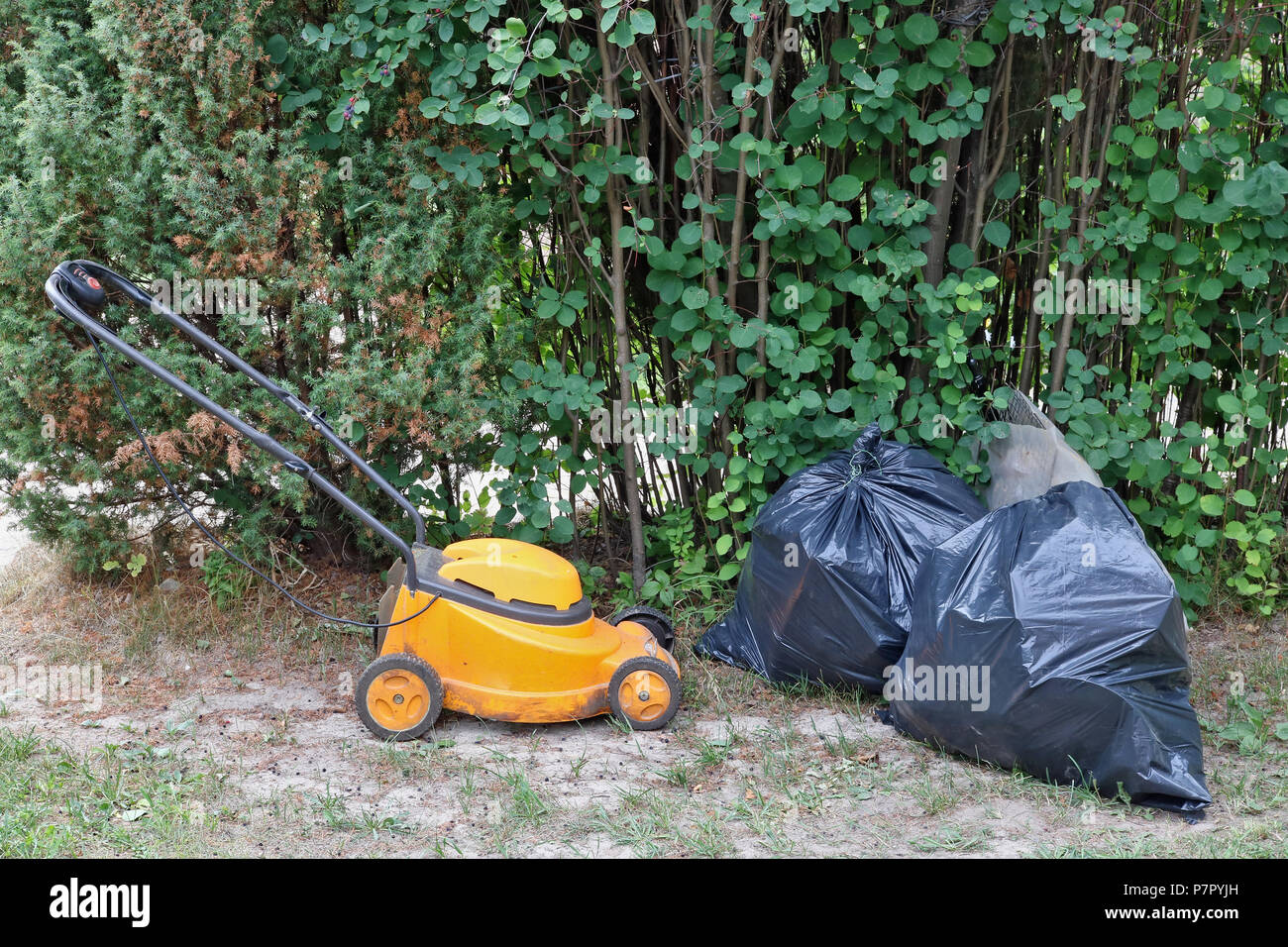Garbage dump in the woods near the village Broken lawn mower and black