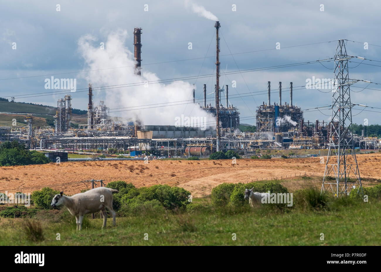 Mossmorran petrochemical plant in Fife, Scotland, UK Stock Photo