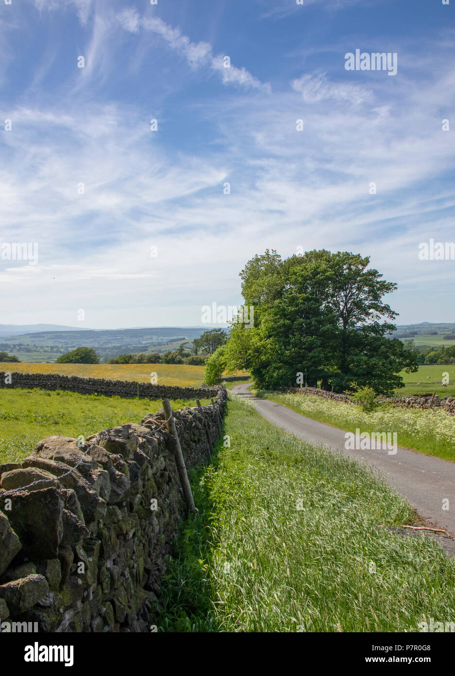 View across Eden Valley Stock Photo Alamy