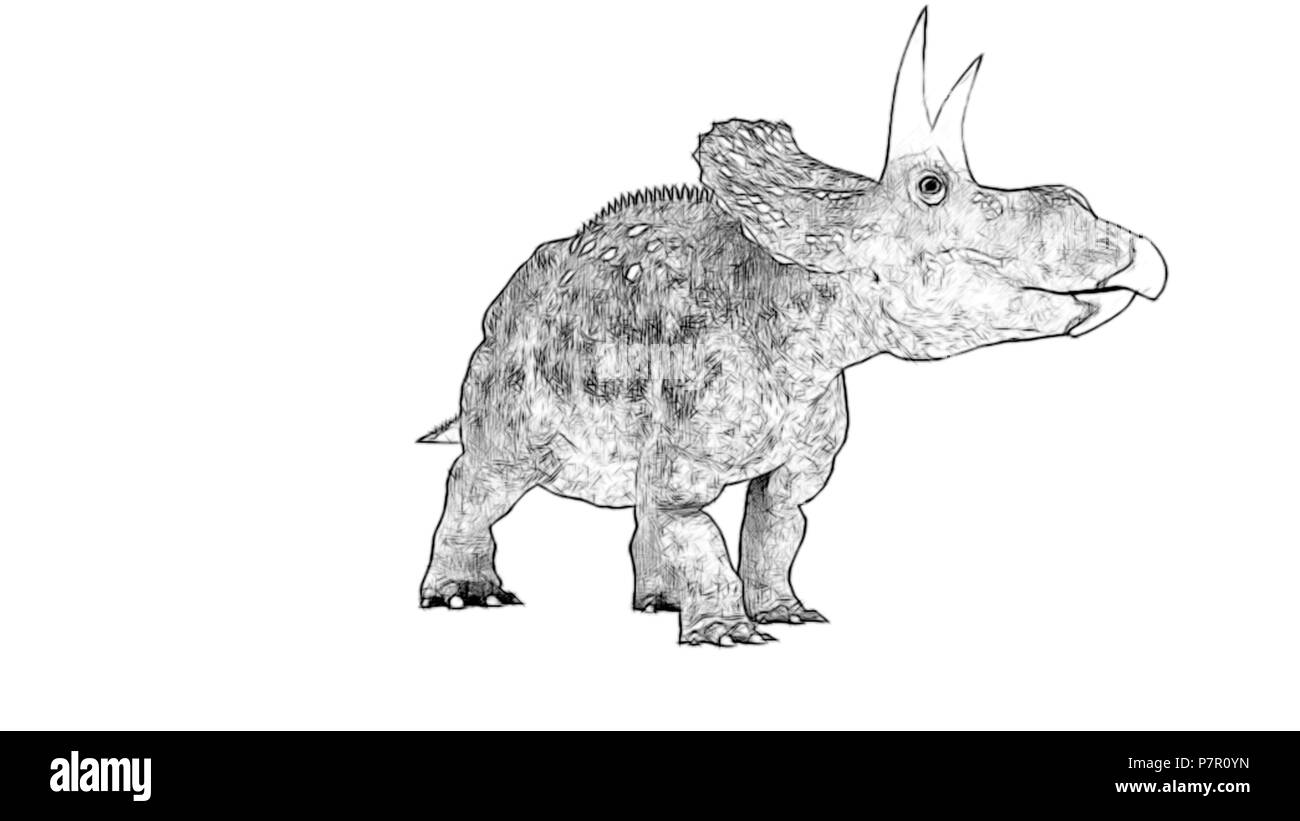 diceratops (triceratops) Stock Photo