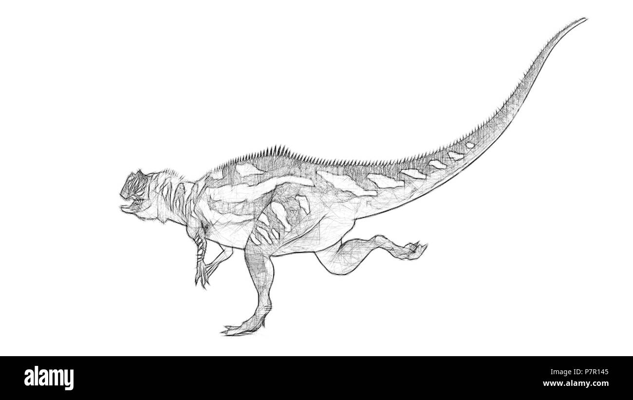 Carnivore yangchuanosaurus dinosaur Black and White Stock Photos \u0026 Images -  Alamy, image size:1300x821