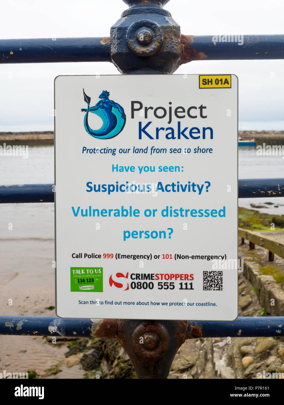 A sign on display at Staithes Harbour North Yorkshire drawing attention to government sponsored  Project Kraken encouraging the reporting of an suspic Stock Photo