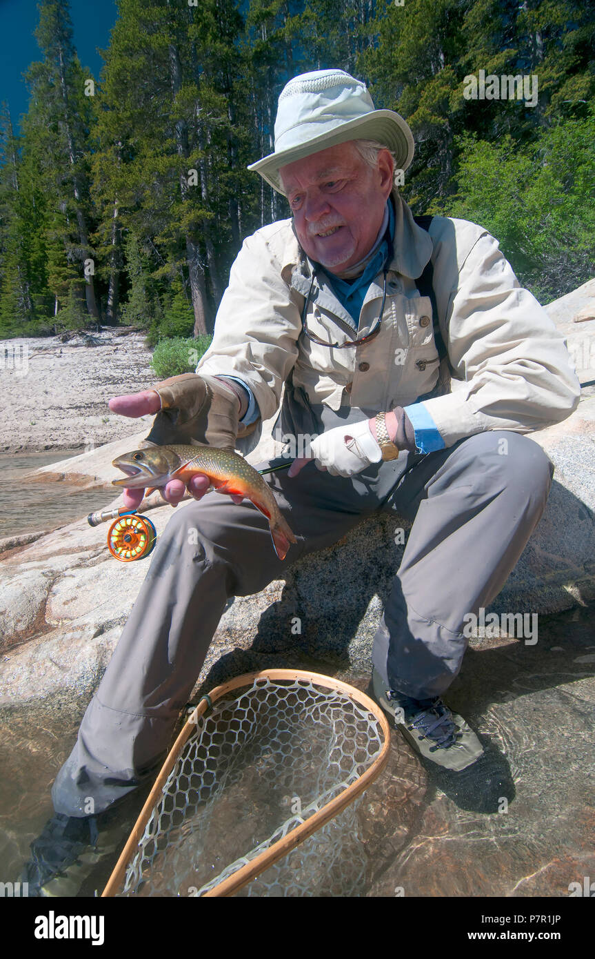 Still Life Photo Brook Trout Fly Stock Photo 778617748