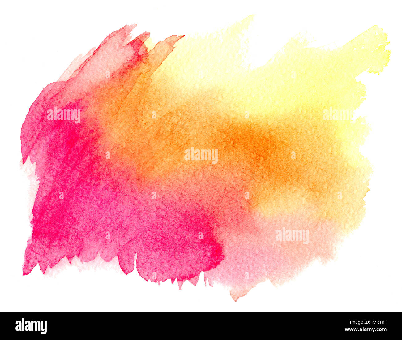 Abstract pink red yellow watercolor on white background.The color