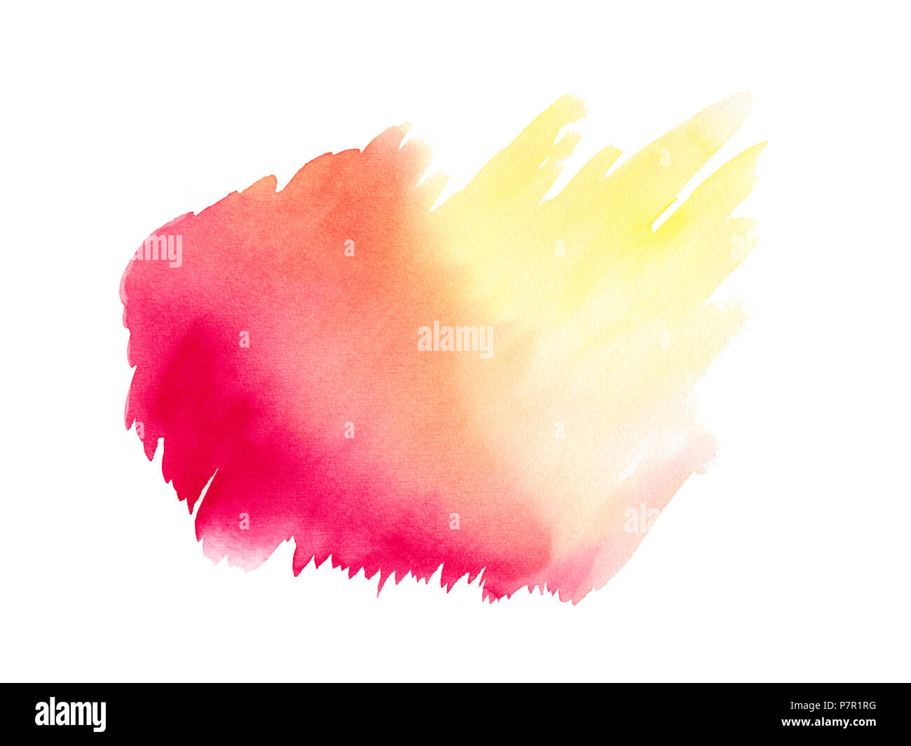 Abstract pink red yellow watercolor on white background.The color ...
