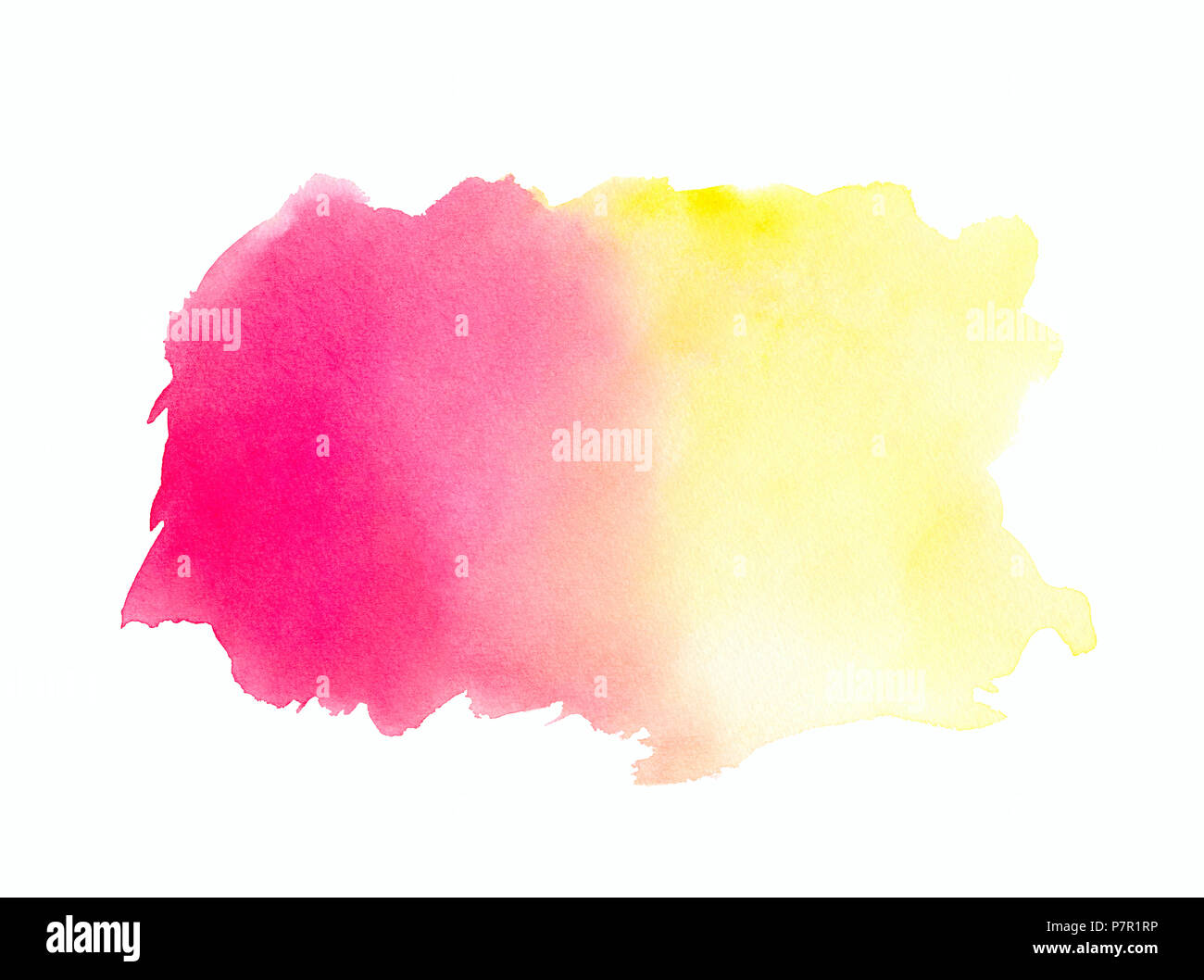 Abstract pink red yellow watercolor on white background.The color ...