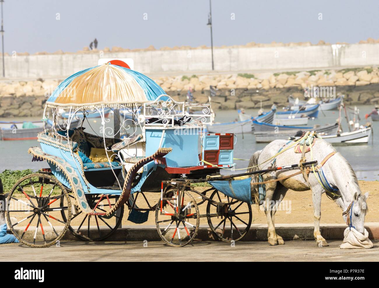 carruaje en el puerto de Assilah, Marruecos, norte de Africa, continente africano. Stock Photo