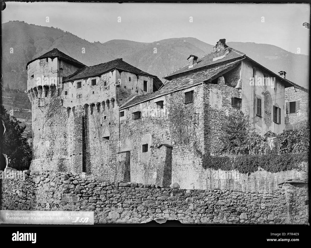 Afrique du Sud - Krugerrand - 2011 - Série de pièces décimales 50 ans, image size:1300x1037