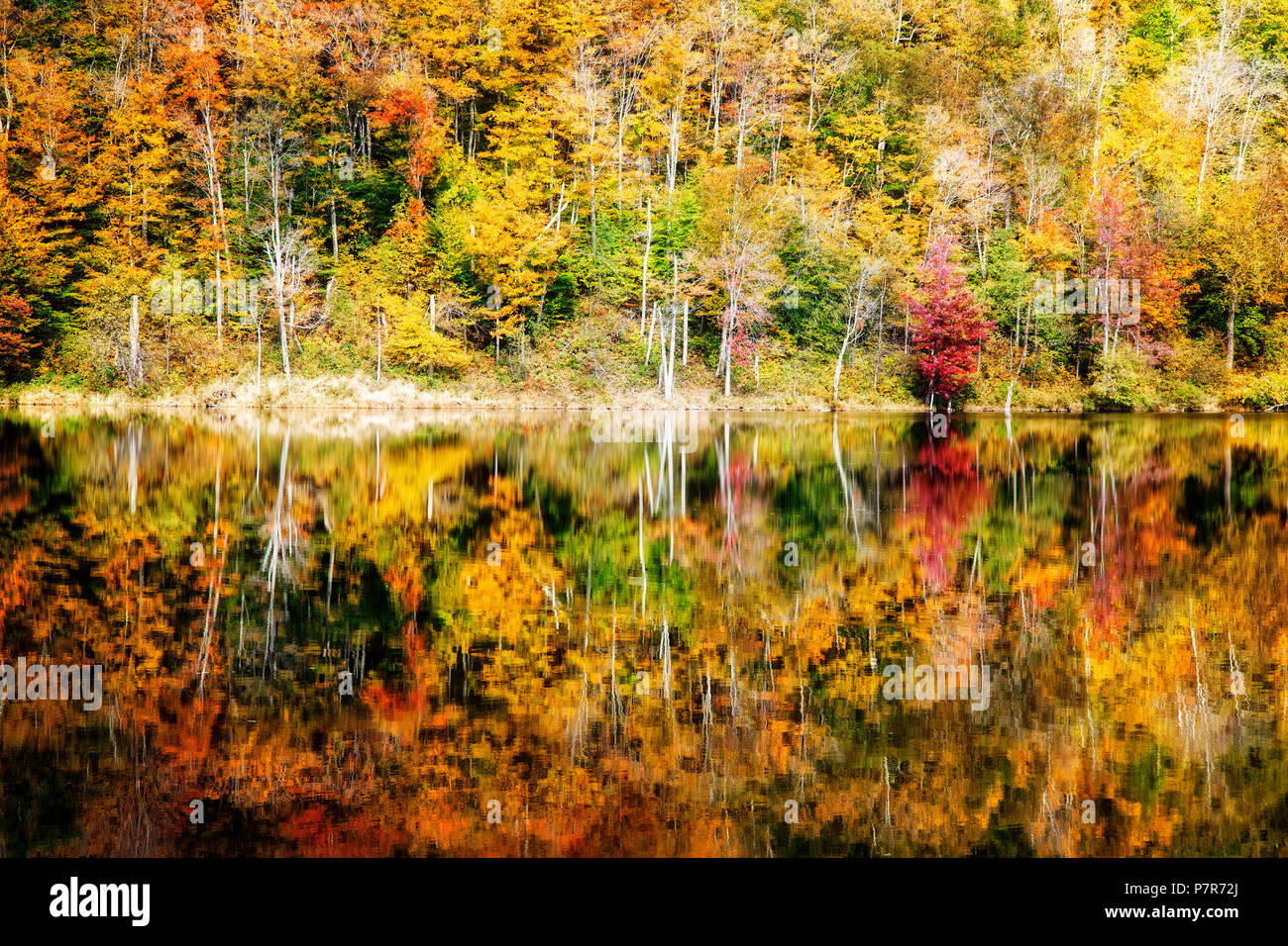 Belvidere hires stock photography and images Alamy