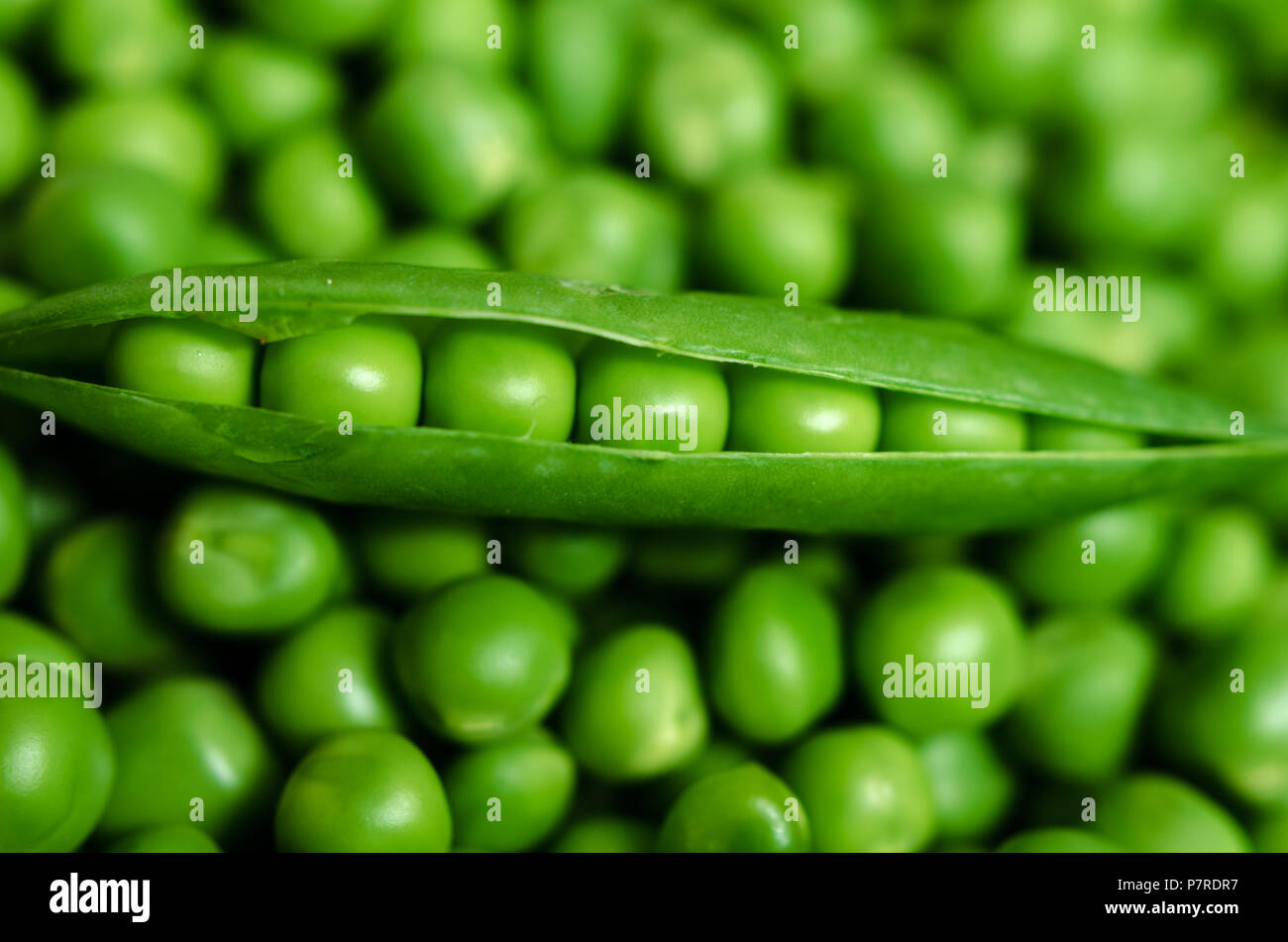 Green pea pod on top of green peas Stock Photo