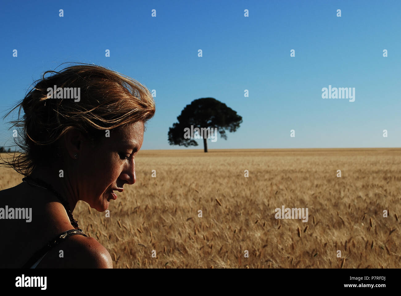 the woman in the wheat field Stock Photo - Alamy