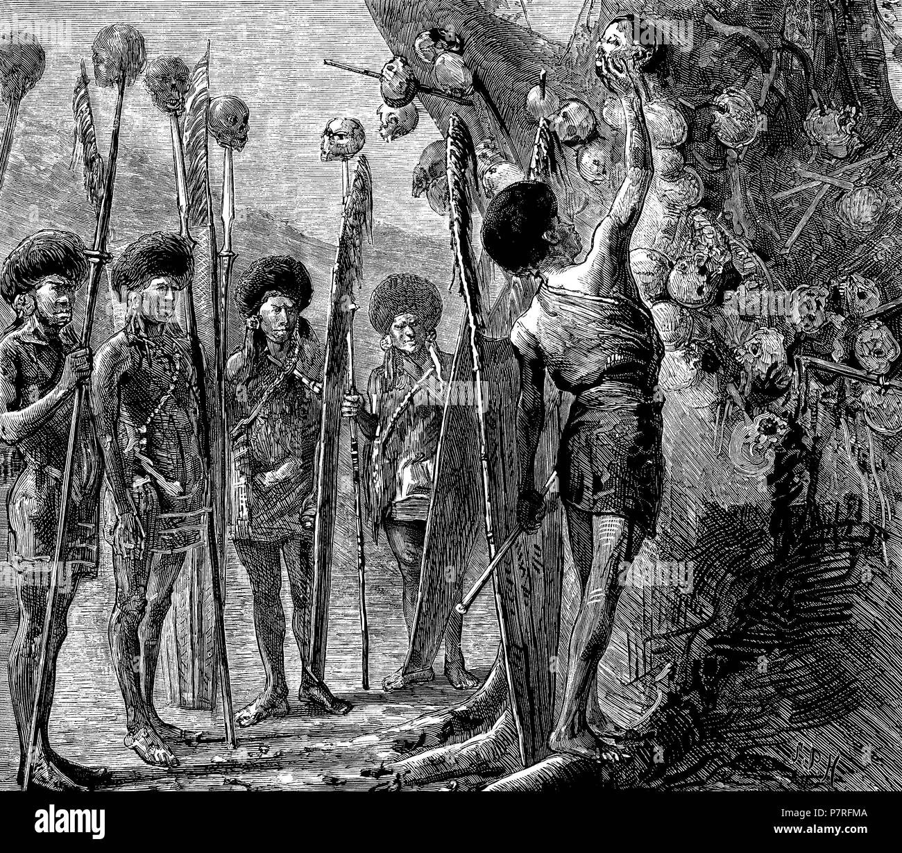 Asia. Birmania. Costumbre salvaje de la tribu de los Nagas, habitantes de Assan. Cabezas decapitadas por los guerreros jóvenes con las que adornan un corpulento árbol. Grabado de 1879. Stock Photo