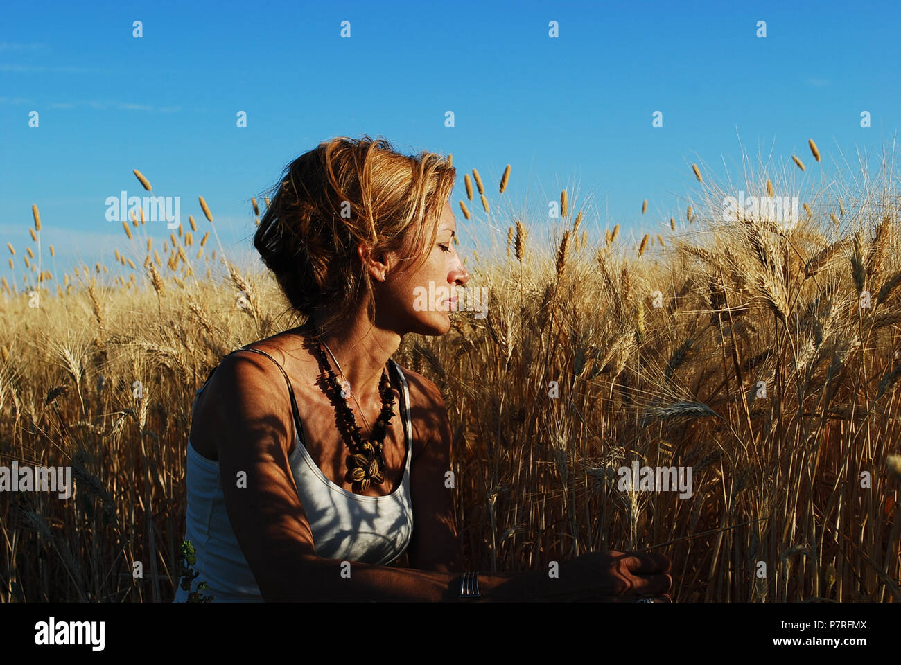 the woman in the wheat field Stock Photo - Alamy
