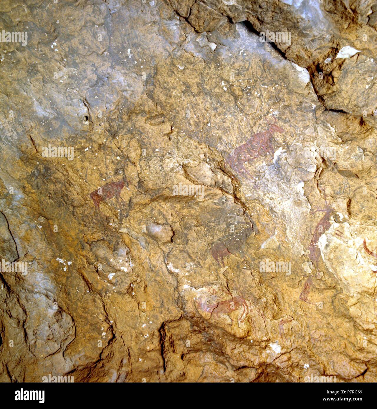 CUEVA DE LOS LETREROS (93), PINTURAS RUPESTRES, ARTE FIGURATIVO, ANIMALES CAPRIDOS, CERVIDOS Y BOVIDOS (CABRAS, CIERVOS Y TOROS)  . ALMERÍA, ANDALUCIA, ESPAÑA. Stock Photo