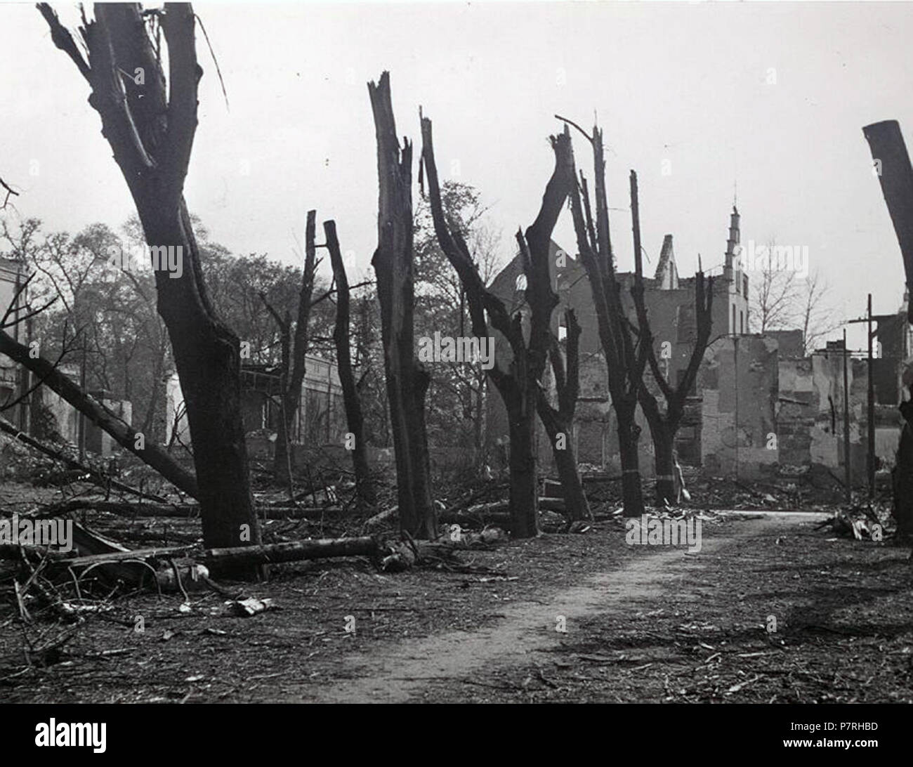 345 Seufzerallee, Düsseldorf. Der östliche Teil der Seufzerallee nach dem Bombenangriff am 23. September 1944, links die Ruinen des Malkastens Stock Photo