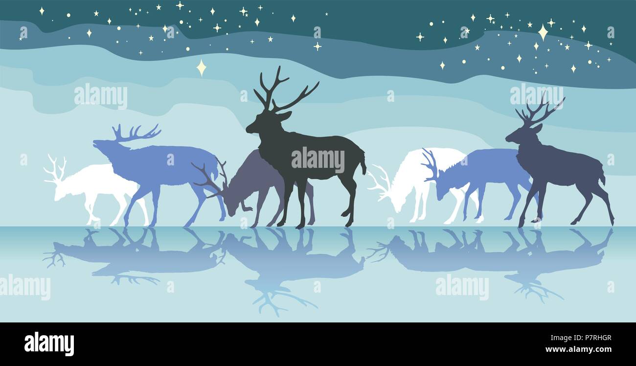 Colorful vector illustration- background with group of walking male deers with reflection under sky with stars. North landscape in night. Stock Vector