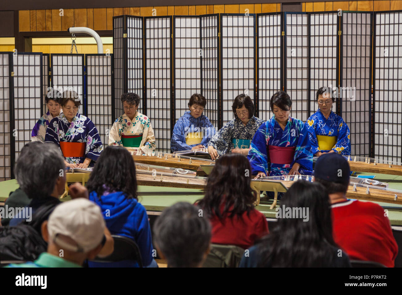 Japanese female performers playing the Koto stringed instrument in the Japanese Cultural Centre in Steveston, British Columbia, Stock Photo