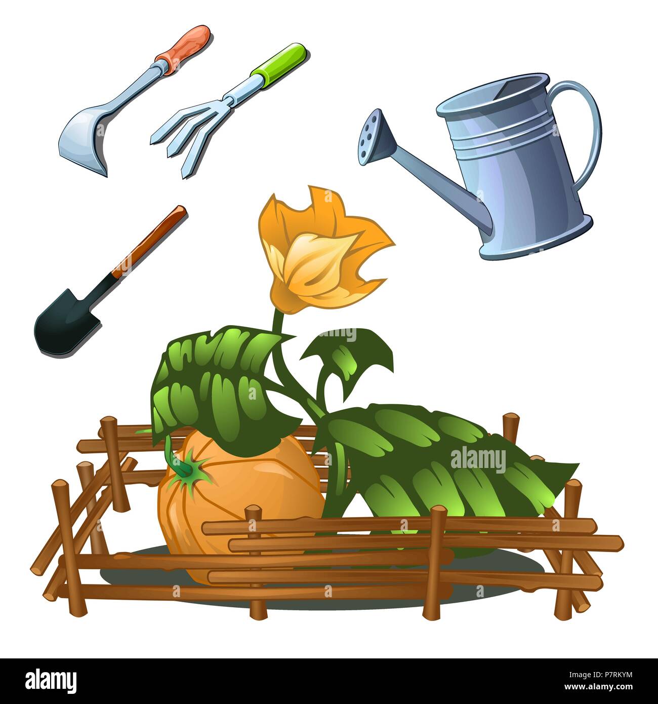 A set of garden tools to take care of a growing pumpkin isolated on white  background. Vector cartoon close-up illustration Stock Vector Image & Art -  Alamy