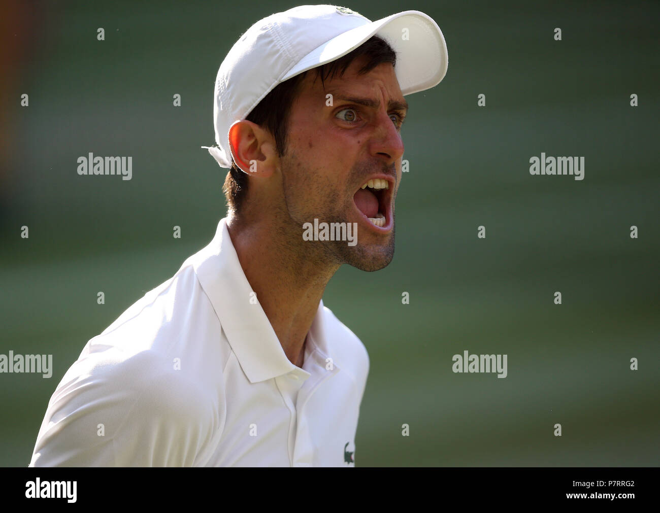 Novak Djokovic reacts on day six of the Wimbledon Championships at the All England Lawn Tennis and Croquet Club, Wimbledon. Stock Photo