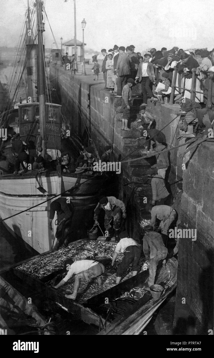 Vigo. Faenas de pesca en la ribera del Berbés. Pescadores llenando cajas de sardinas. Tarjeta postal. Stock Photo