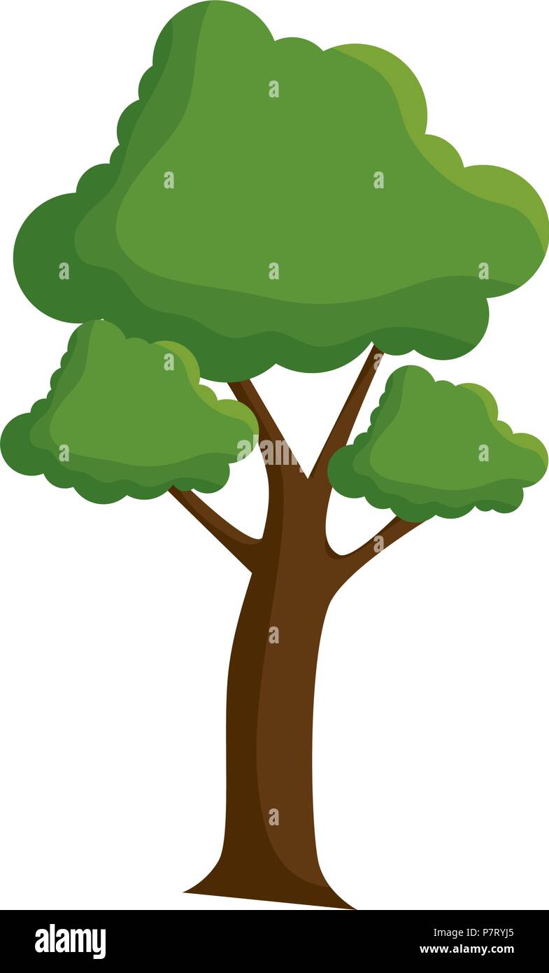 tree plant nature icon Stock Vector Image & Art - Alamy
