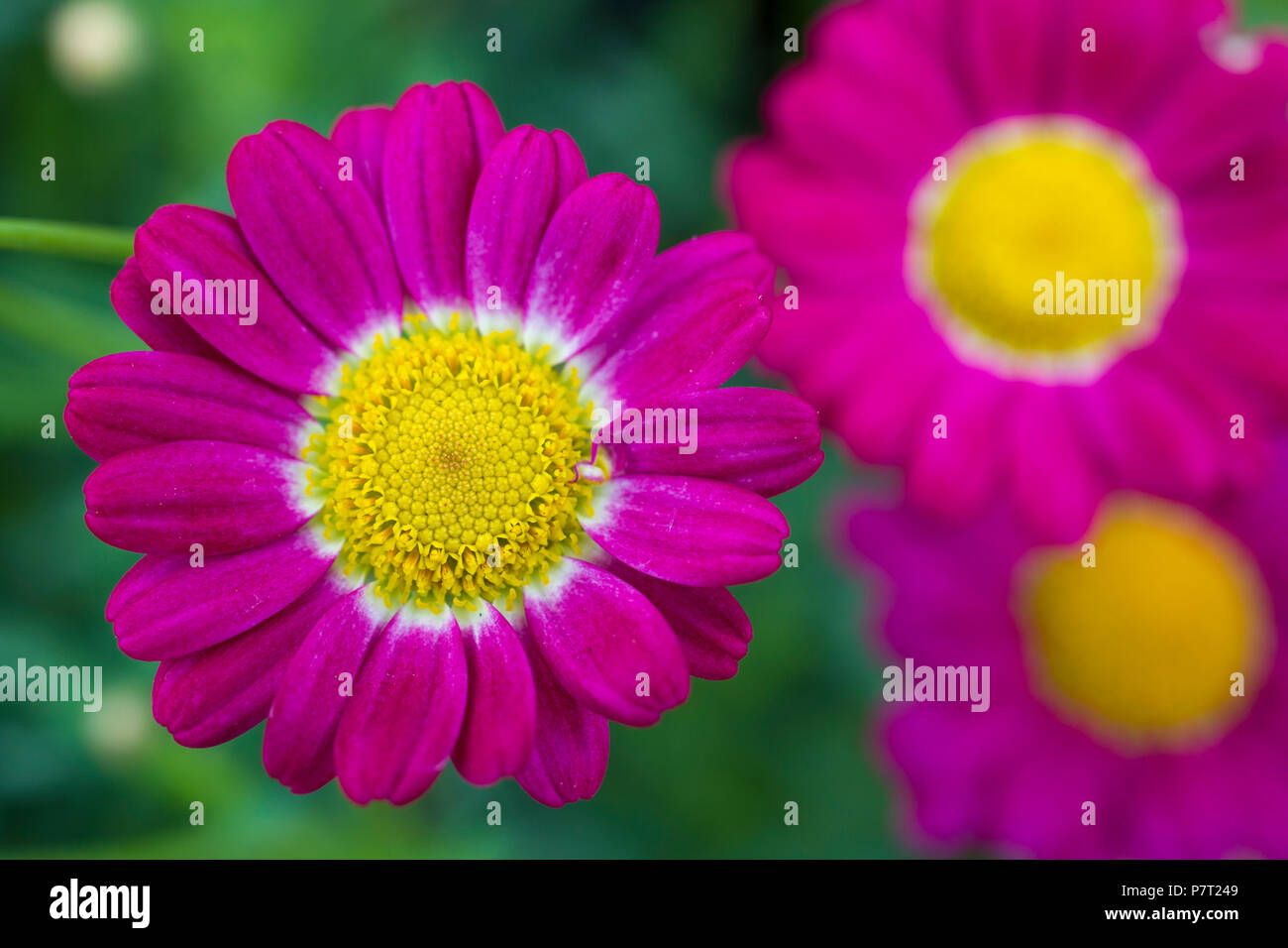 Summit red hi-res stock photography and images - Alamy