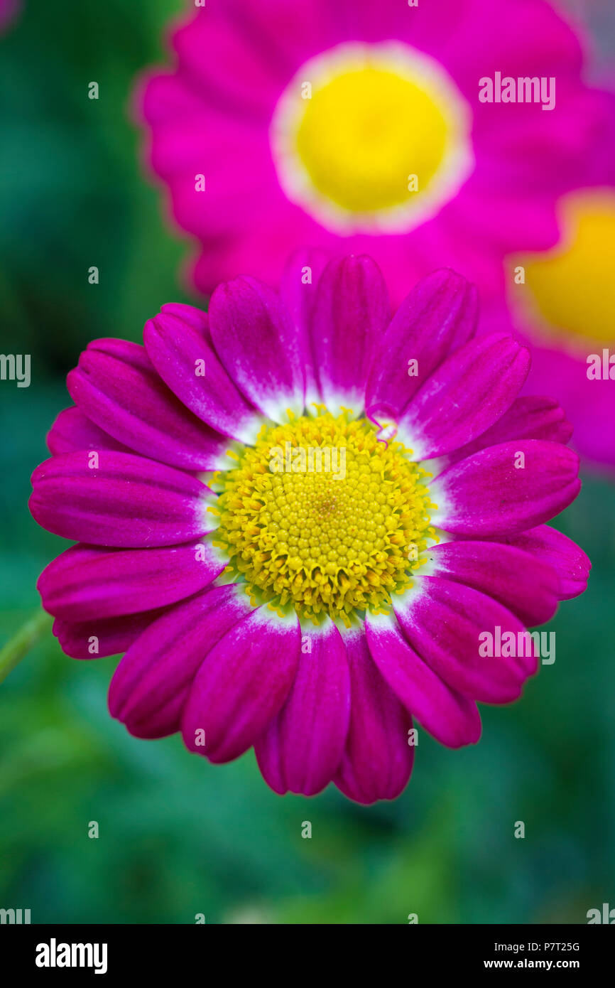 Summit red hi-res stock photography and images - Alamy