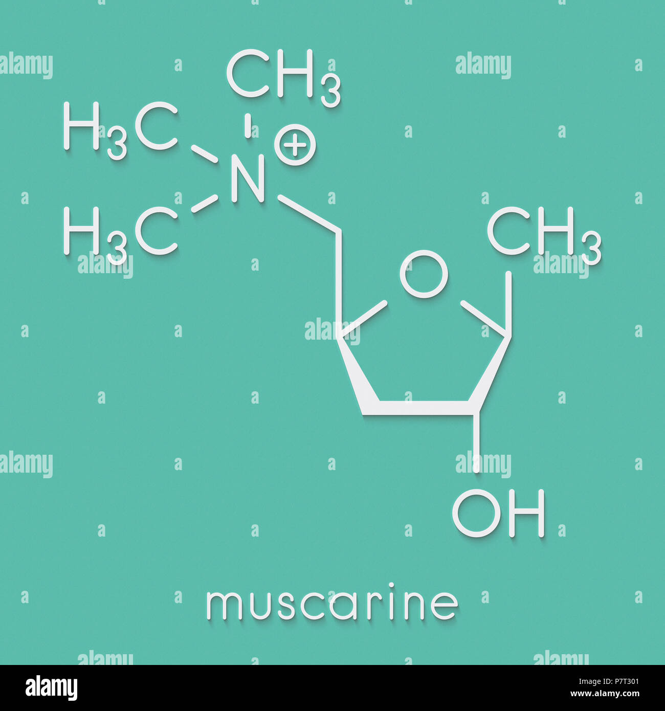 Muscarine mushroom toxin molecule. Agonist of the muscarinic