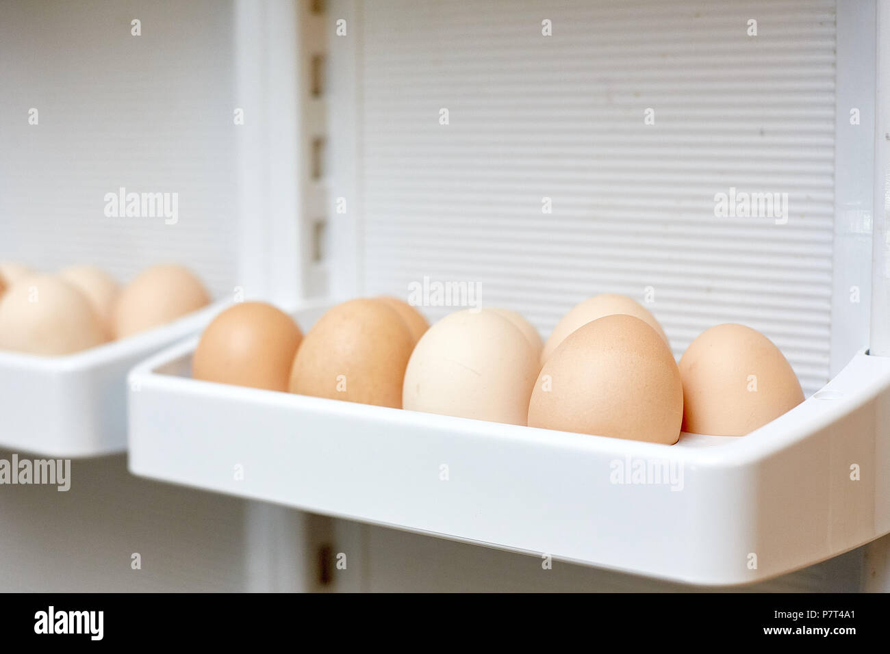 fresh eggs in a shelf of refrigerator Stock Photo Alamy
