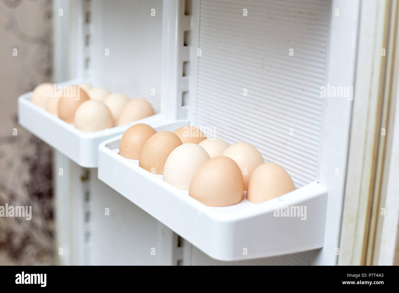 fresh eggs in a shelf of refrigerator Stock Photo Alamy