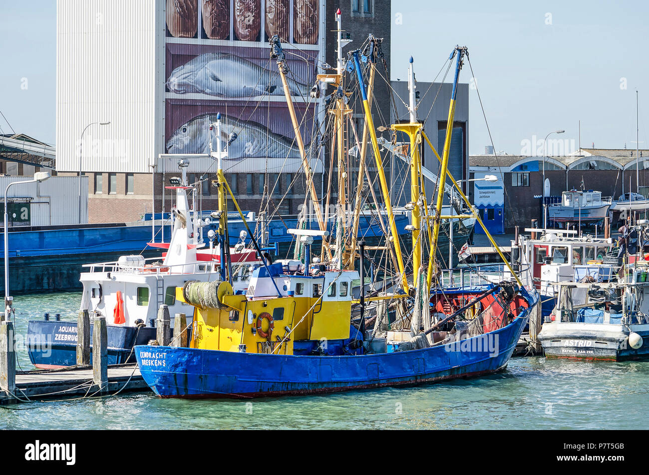 Breskens, The Netherlands, July 2nd, 2018: Fishing trailer in the harbour, with the grainsilo in the background Stock Photo