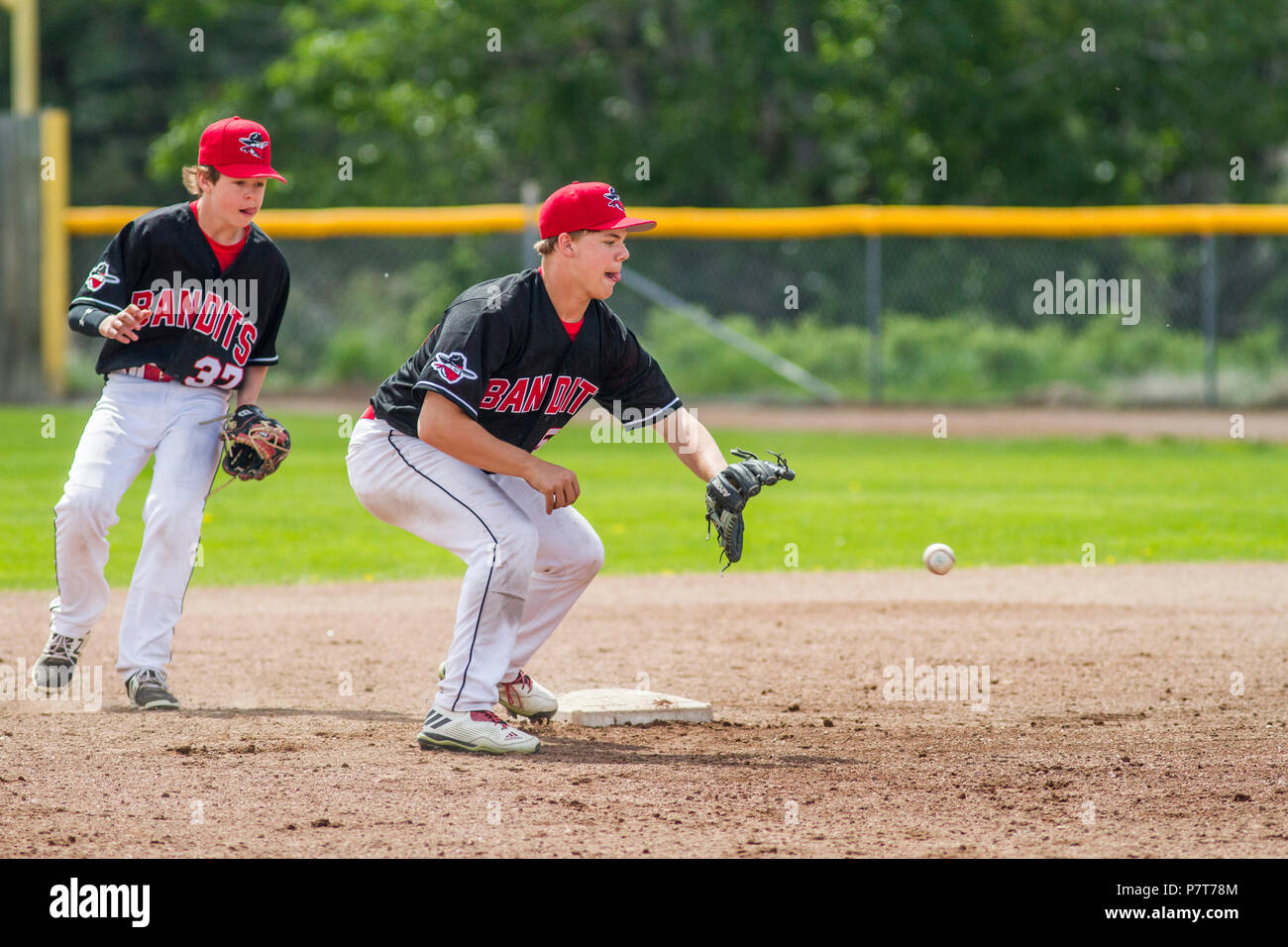 Baseball action shot, ball just about to be caught at second base, boys  afternoon junior baseball game. Cranbrook, BC Stock Photo - Alamy