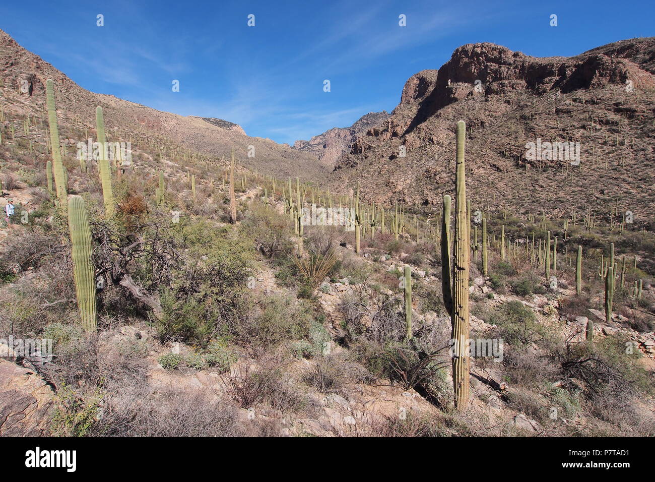 Blacketts ridge trail hires stock photography and images Alamy