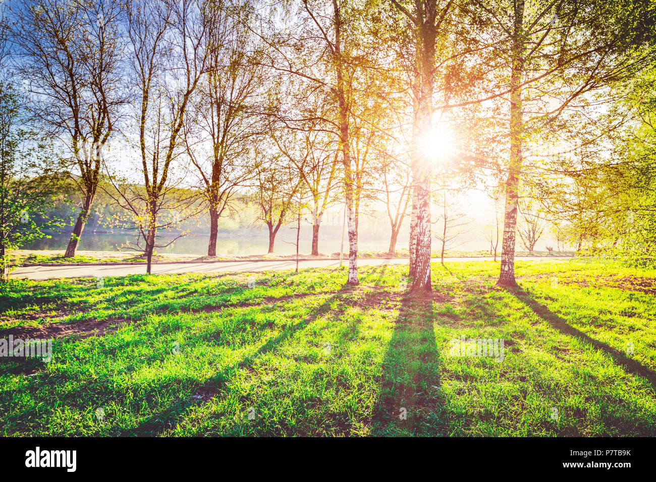 Ecology park hi-res stock photography and images - Alamy