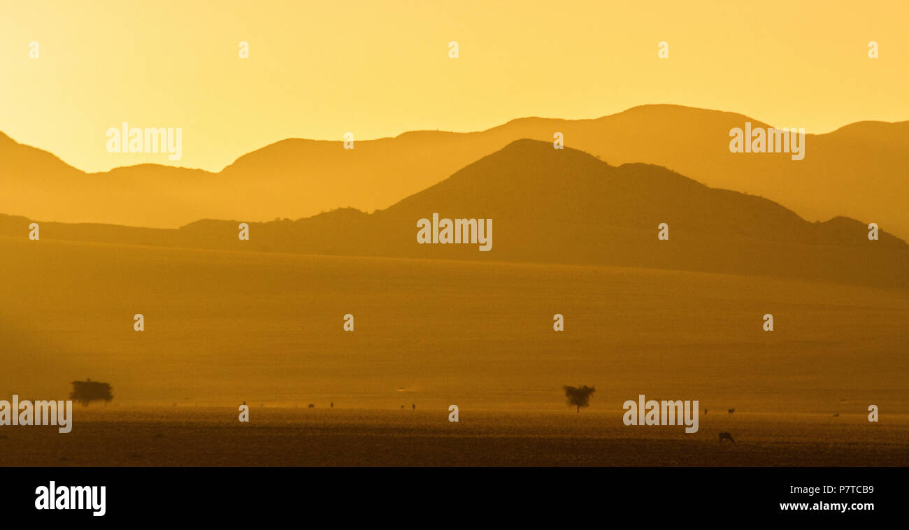 Beautiful gold colour caused dust in the atmosphere at the Rantberge at sunset, near  Spreetshoogte Pass, in the Namib Naukluft, from Katiti's Place Stock Photo