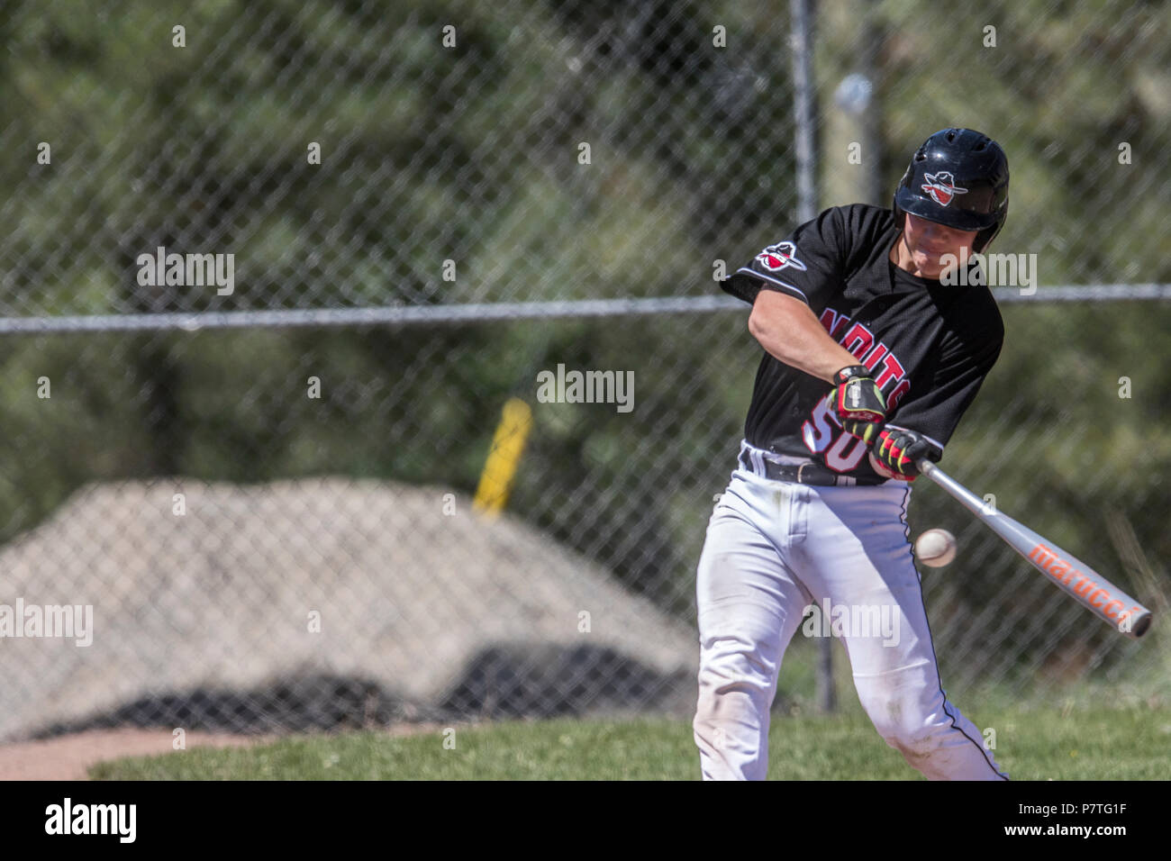 Batter swinging at baseball, just about to makd contact, boys afternoon junior baseball game. Cranbrook, BC. Stock Photo