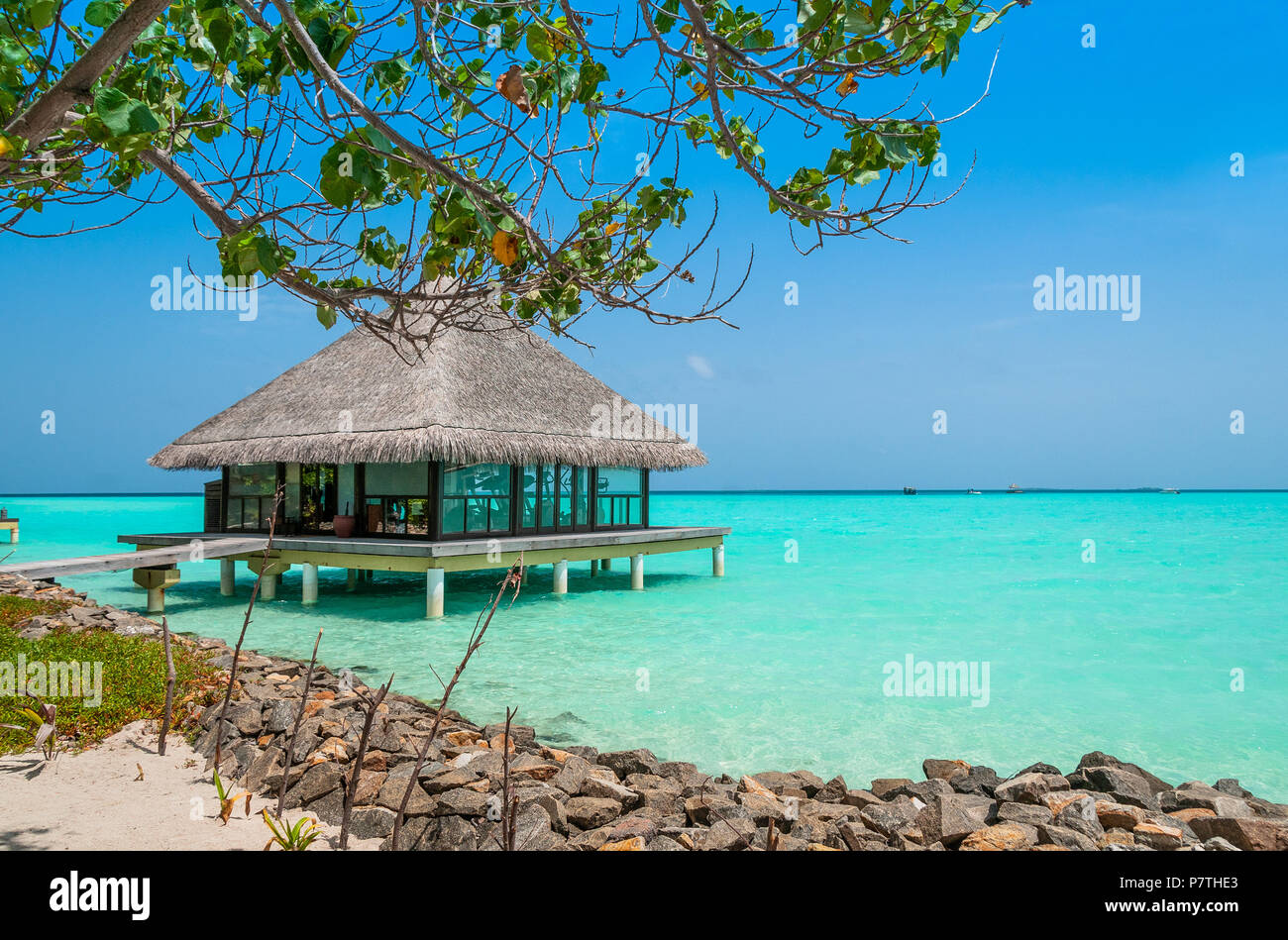 The Perfect Beach Beach Bungalow Luxury Escape Tropical Paradise Honeymoon At Maldives Palms And White Sund Blue Ocean Maldives Beautiful Beach Stock Photo Alamy The Perfect Beach Beach Bungalow Luxury Escape Tropical Paradise Honeymoon At Maldives Palms And White Sund Blue Ocean Maldives Beautiful Beach Stock Photo Alamy