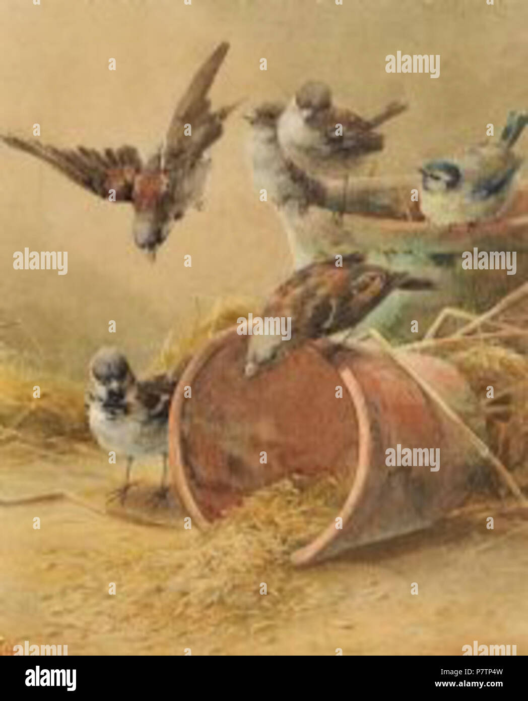 English Helen Sophia O'Hara (1846 1920) was a Northern Irish