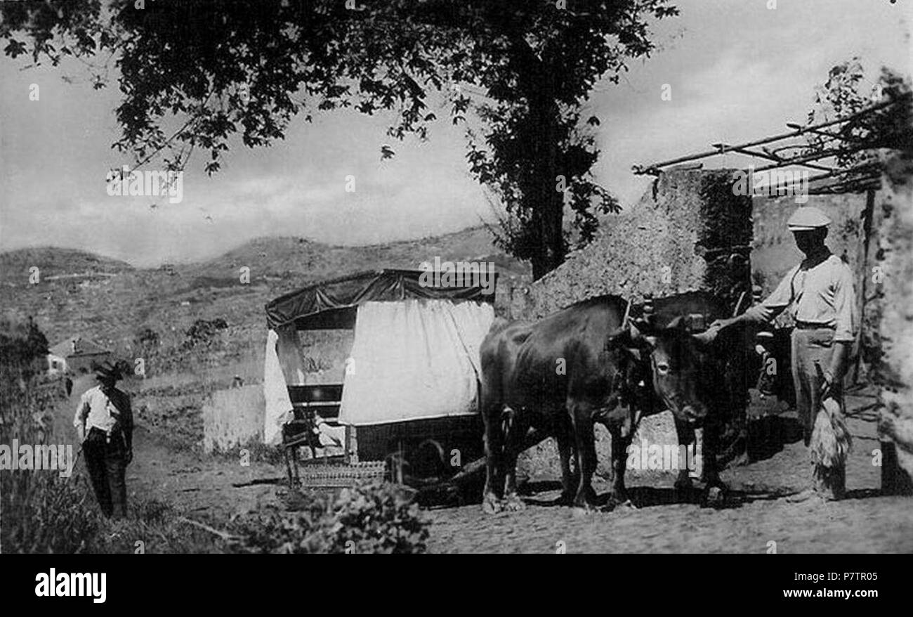 Português: Carro de bois nos arredores do Funchal. Fotografia de 1920 (c.). Arredores do Funchal, ilha da Madeira. Esta fotografia foi utilizada depois num bilhete postal Athen & Haupt, Hamburgo. circa 1920 61 Carro de bois nos arredores do Funchal, c. 1920 Stock Photo
