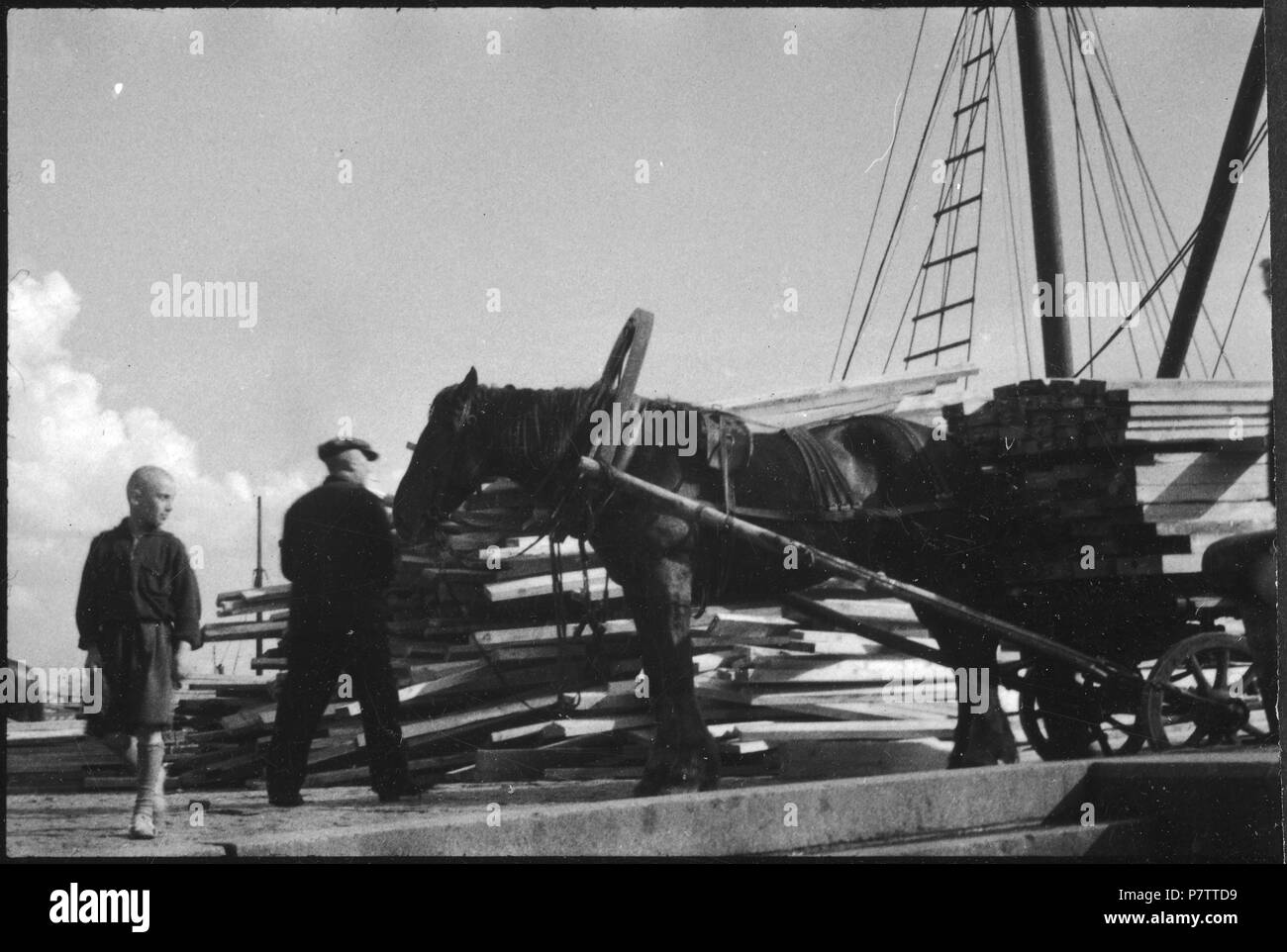 Lettland, Riga: Tiere; Pferd eingespannt vor einem Karren beladen mit Holz. May 1937 74 CH-NB - Lettland, Riga- Tiere - Annemarie Schwarzenbach - SLA-Schwarzenbach-A-5-17-093 Stock Photo
