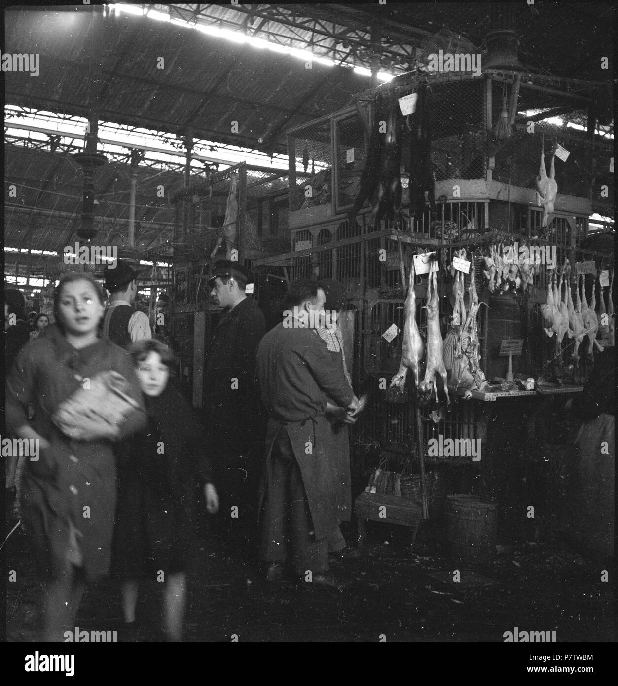 Portugal, Lissabon (Lisboa): Markthalle; Ein Stand mit gehäuteten Tieren. May 1941 78 CH-NB - Portugal, Lissabon (Lisboa)- Markthalle - Annemarie Schwarzenbach - SLA-Schwarzenbach-A-5-24-057 Stock Photo