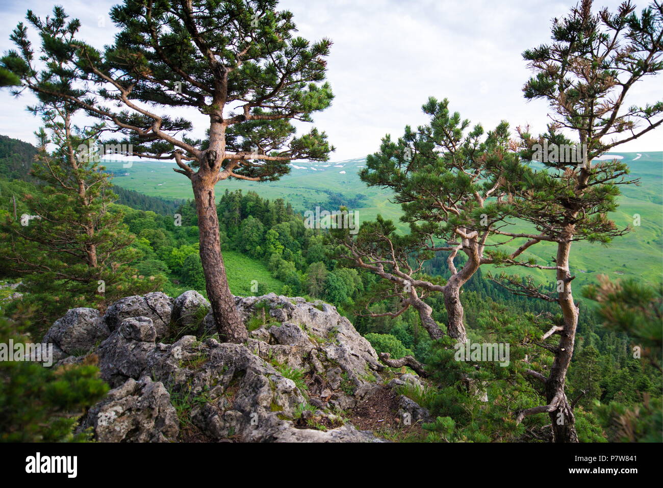 Caucasus State Biosphere Nature Reserve: detailed information Caucasus State Biosphere Nature Reserve: detailed information