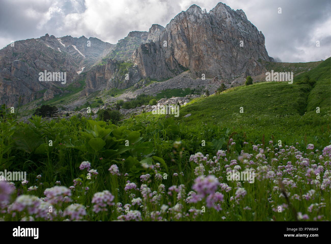 Caucasus State Biosphere Nature Reserve: detailed information Caucasus State Biosphere Nature Reserve: detailed information