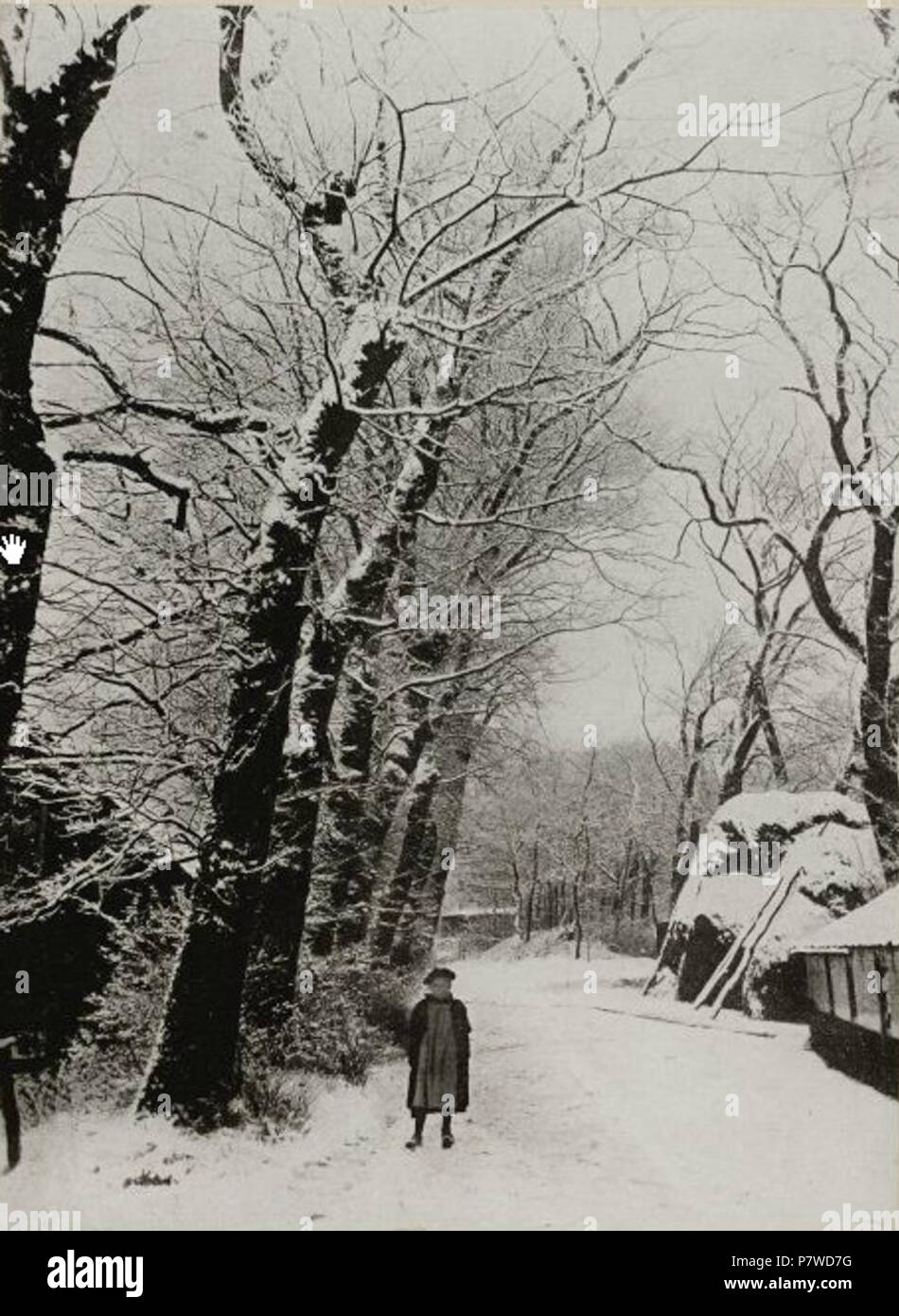 Laantje in Bloemendaal in de winter . circa 1900 46 Bispinck laantje bloemendaal winter Stock Photo