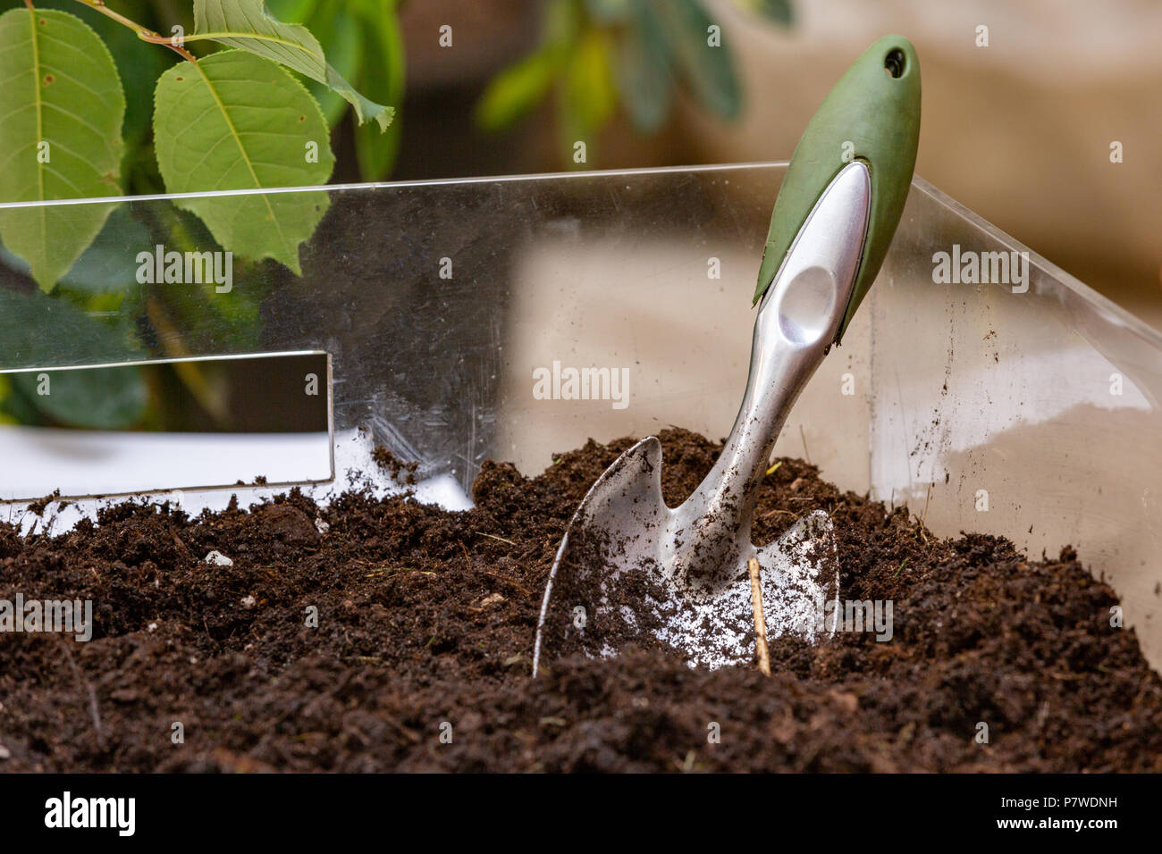 Spade stuck in the ground hi-res stock photography and images - Alamy