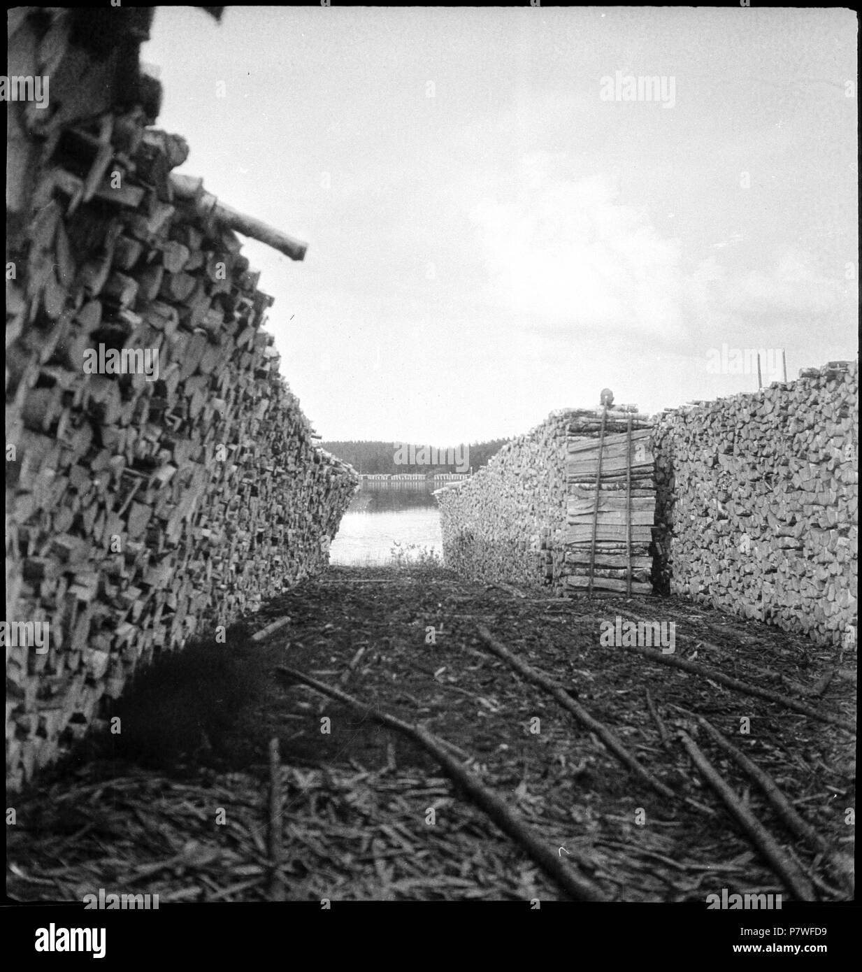 Finnland: Holz; Aufgeschichtete Holzstämme. June 1937 70 CH-NB - Finnland- Holz - Annemarie Schwarzenbach - SLA-Schwarzenbach-A-5-17-056 Stock Photo