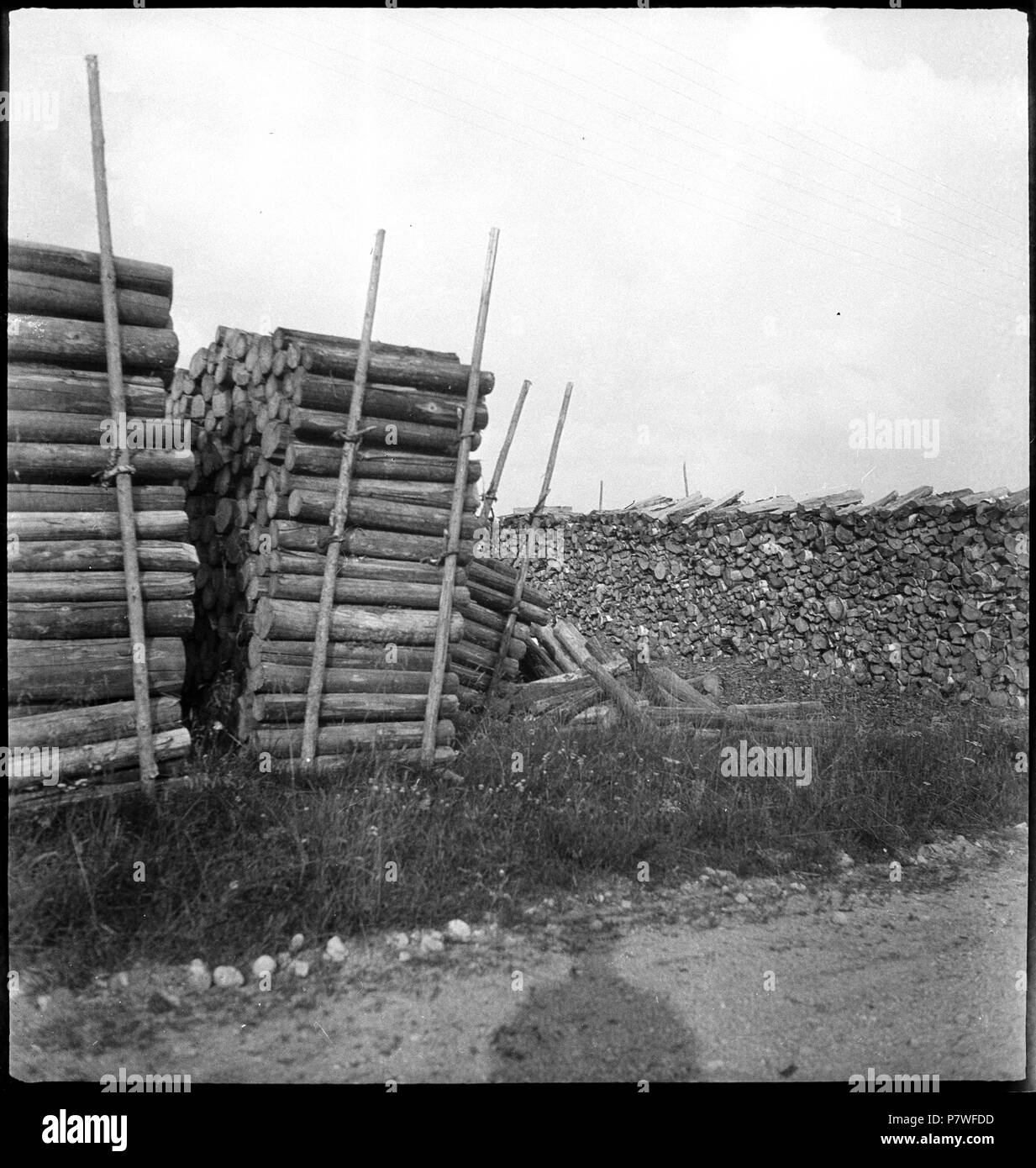 Finnland: Holz; Aufgeschichtete Holzstämme. June 1937 70 CH-NB - Finnland- Holz - Annemarie Schwarzenbach - SLA-Schwarzenbach-A-5-17-055 Stock Photo