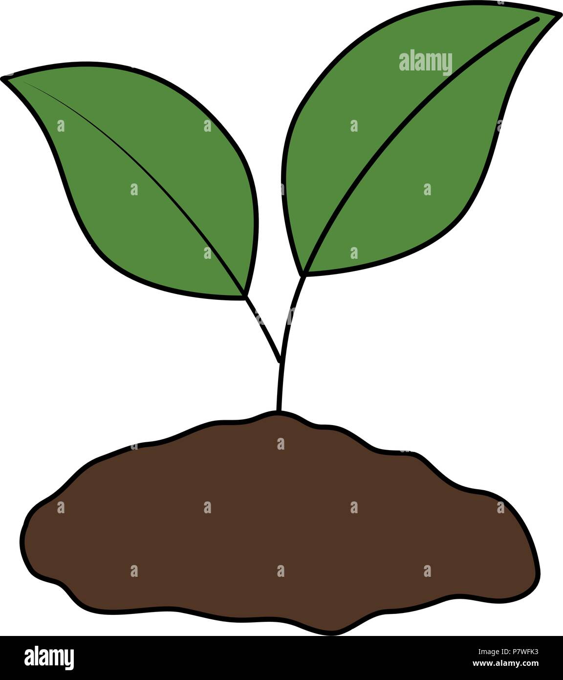 plant and ground ecology Stock Vector Image & Art - Alamy